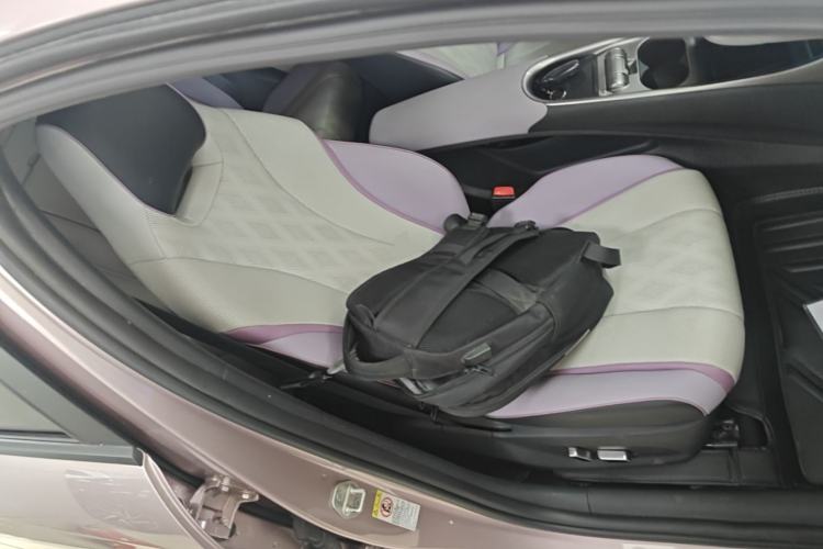 Used BYD Dolphin 2023 420 km Fashion Edition Right Front Seat