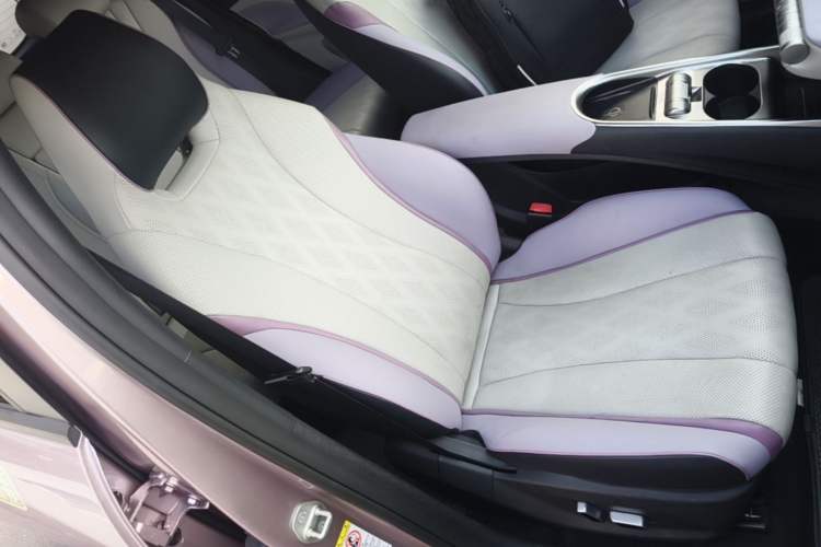 Used BYD Dolphin 2023 420 km Fashion Edition Right Front Seat