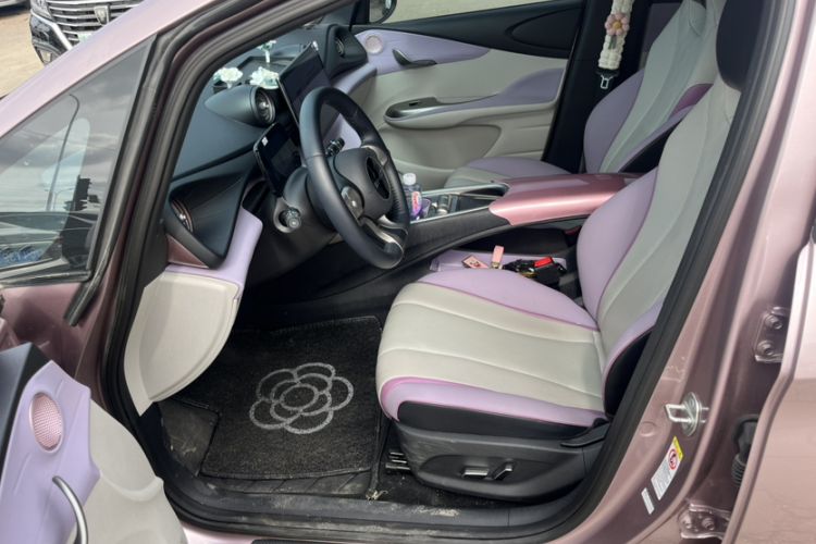 Used BYD Dolphin 2023 420 km Fashion Edition Right Front Seat