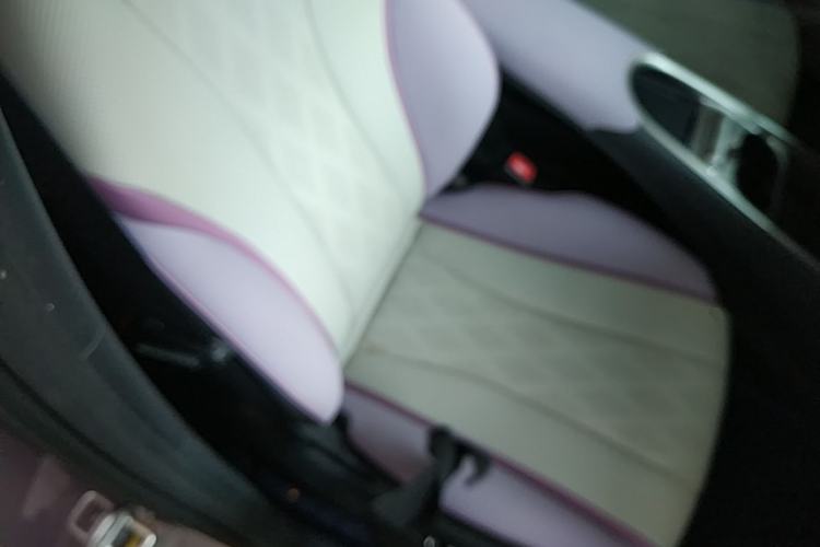 Used BYD Dolphin 2023 420 km Fashion Edition Right Front Seat