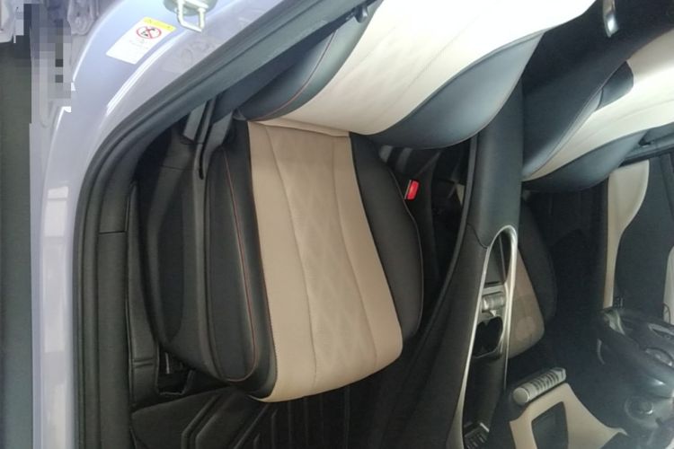 Used BYD Dolphin 2023 420 km Free Version Right Front Seat