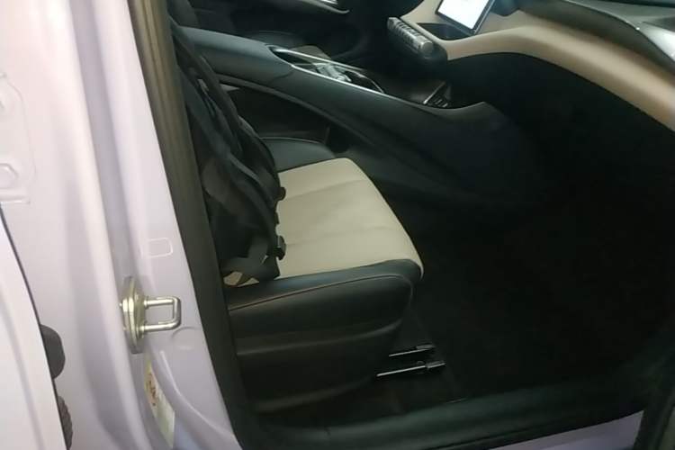 Used BYD Dolphin 2023 420 km Free Version Right Front Seat