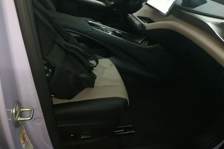 Used BYD Dolphin 2023 420 km Fashion Edition Right Front Seat