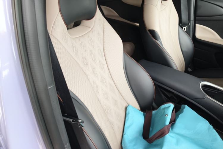 Used BYD Dolphin 2023 420 km Fashion Edition Right Front Seat