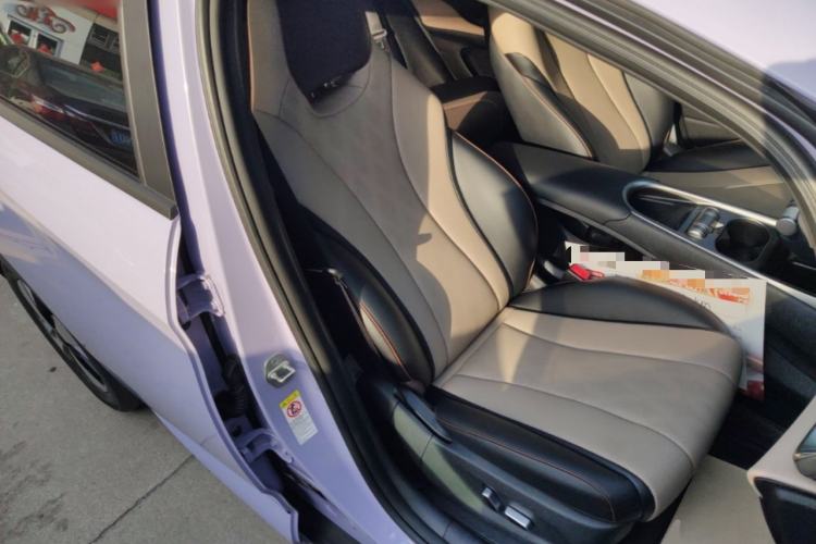 Used BYD Dolphin 2023 420 km Fashion Edition Right Front Seat