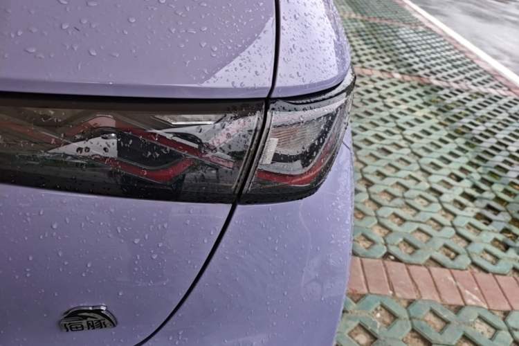 Used BYD Dolphin 2023 420 km Fashion Edition Right Rear Taillight