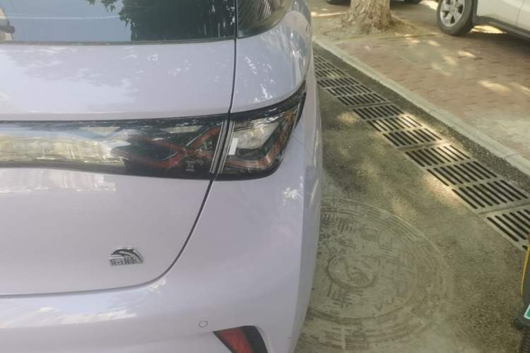 Used BYD Dolphin 2023 420 km Fashion Edition Right Rear Taillight