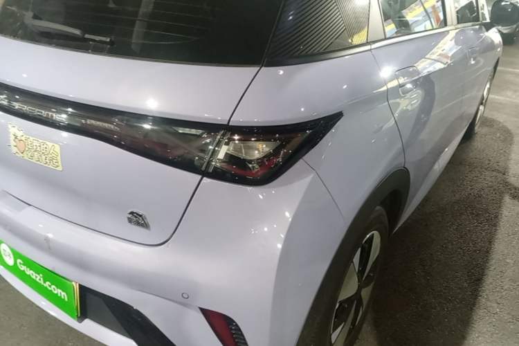Used BYD Dolphin 2023 420 km Free Version Right Rear Taillight