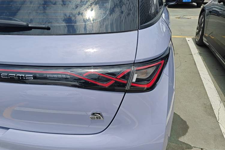 Used BYD Dolphin 2023 420 km Fashion Edition Right Rear Taillight