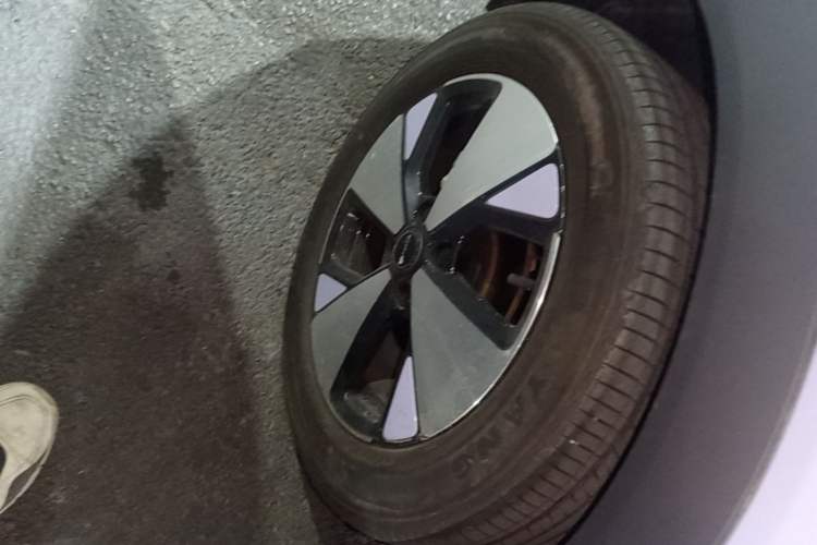 Used BYD Dolphin 2023 420 km Free Version Right Rear Wheel Hub