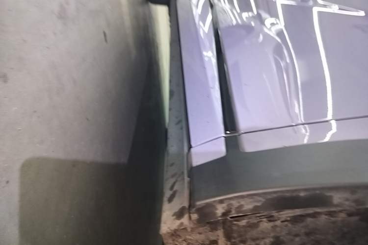 Used BYD Dolphin 2023 420 km Fashion Edition Right Side Sill