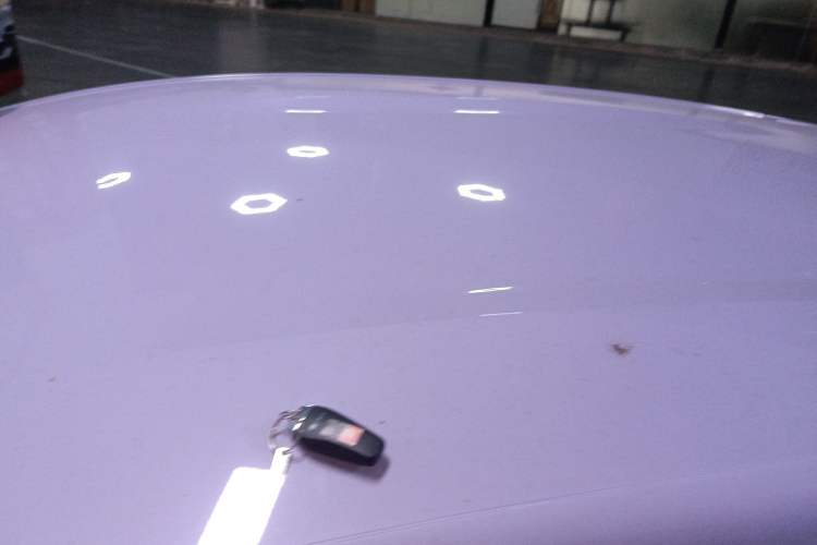 Used BYD Dolphin 2023 420 km Free Version Roof