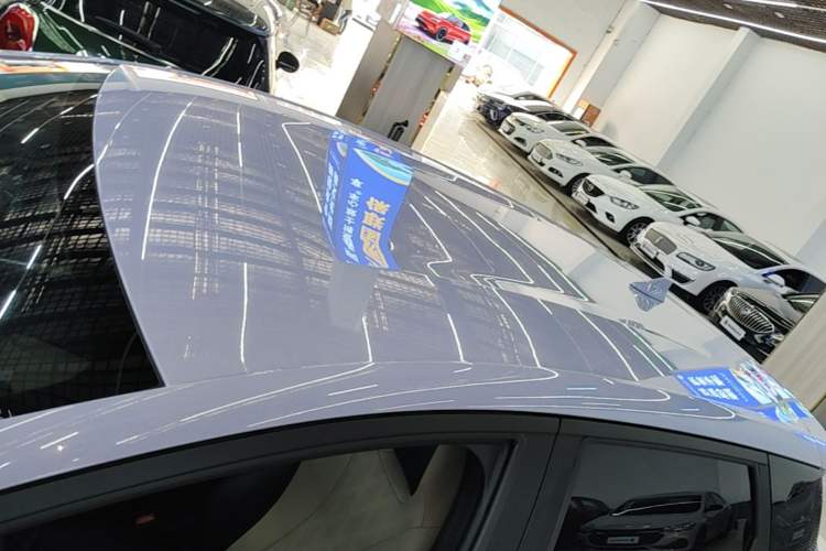 Used BYD Dolphin 2023 420 km Free Version Roof