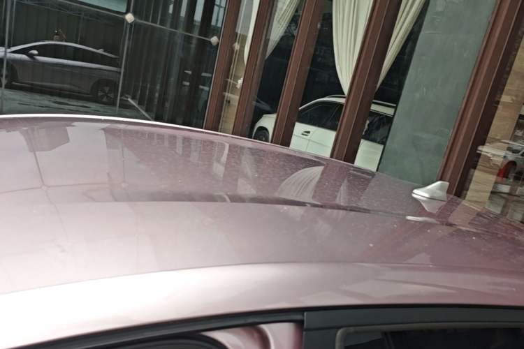 Used BYD Dolphin 2023 420 km Free Version Roof