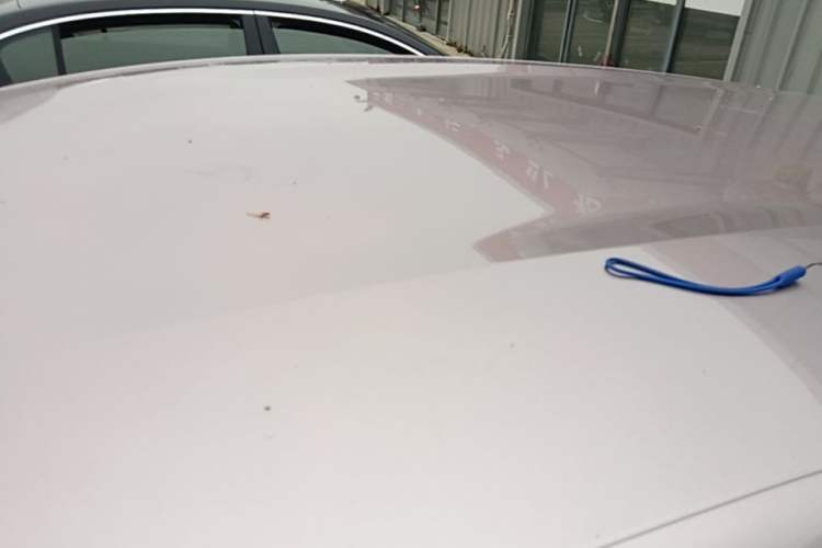Used BYD Dolphin 2023 420 km Free Version Roof