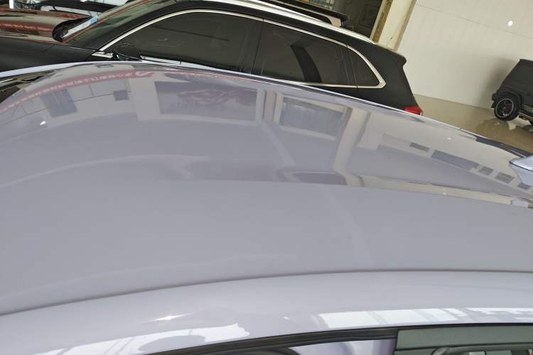 Used BYD Dolphin 2023 420 km Free Version Roof