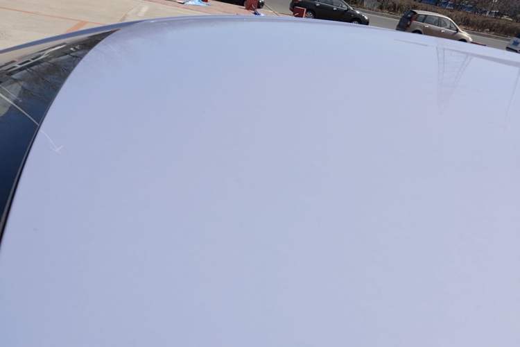 Used BYD Dolphin 2023 420 km Free Version Roof