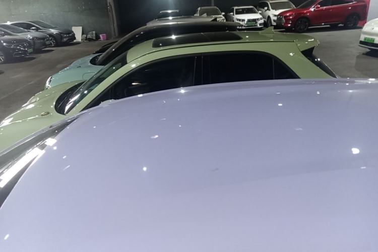 Used BYD Dolphin 2023 420 km Free Version Roof