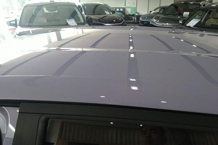 Used BYD Dolphin 2023 420 km Free Version Roof