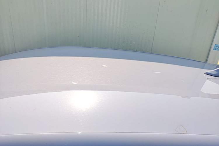 Used BYD Dolphin 2023 420 km Free Version Roof