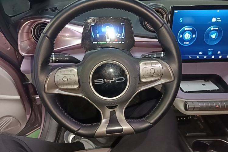 Used BYD Dolphin 2023 420 km Free Version Steering Wheel