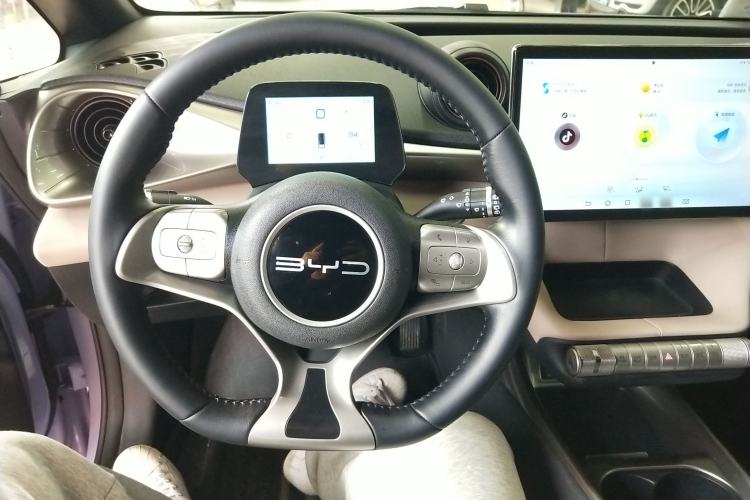Used BYD Dolphin 2023 420 km Free Version Steering Wheel