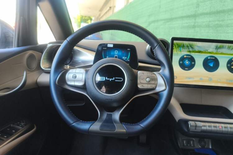 Used BYD Dolphin 2023 420 km Free Version Steering Wheel