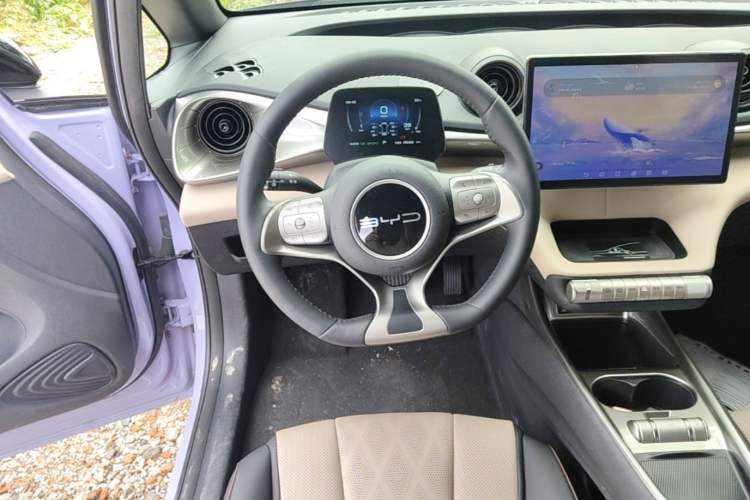 Used BYD Dolphin 2023 420 km Free Version Steering Wheel