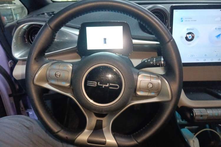 Used BYD Dolphin 2023 420 km Free Version Steering Wheel