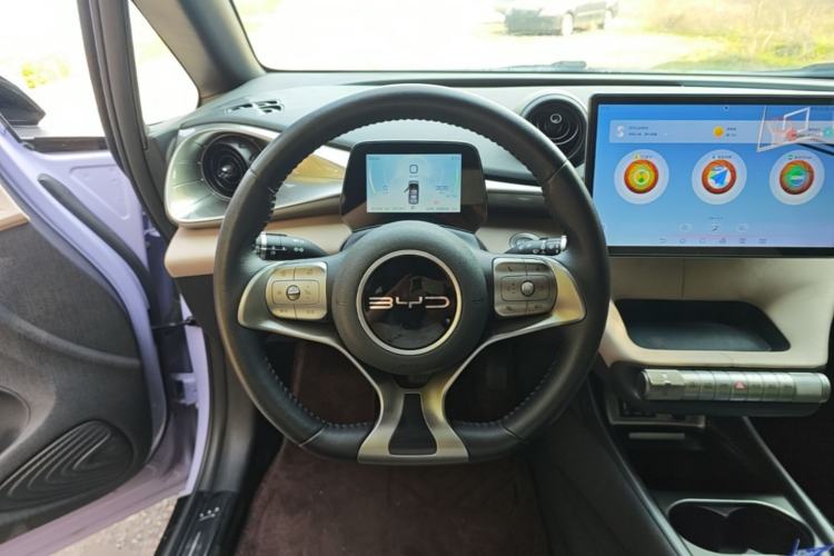 Used BYD Dolphin 2023 420 km Fashion Edition Steering Wheel