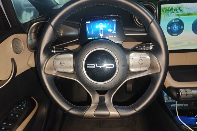 Used BYD Dolphin 2023 420 km Free Version Steering Wheel