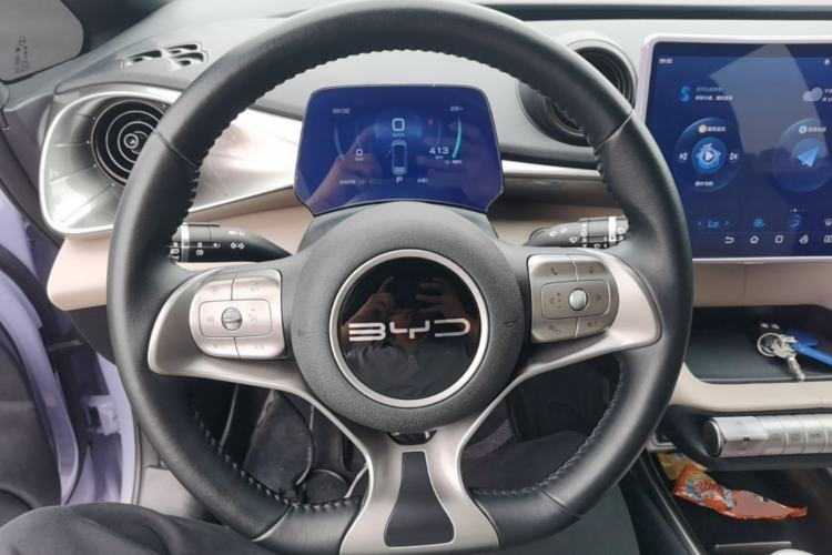 Used BYD Dolphin 2023 420 km Fashion Edition Steering Wheel