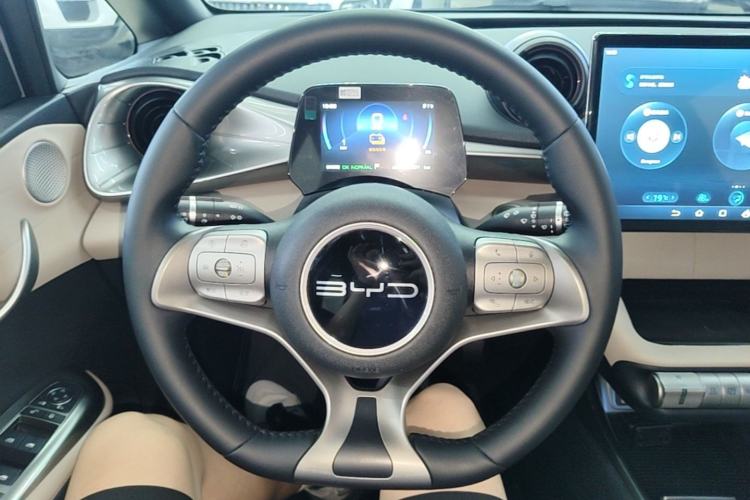 Used BYD Dolphin 2023 420 km Free Version Steering Wheel