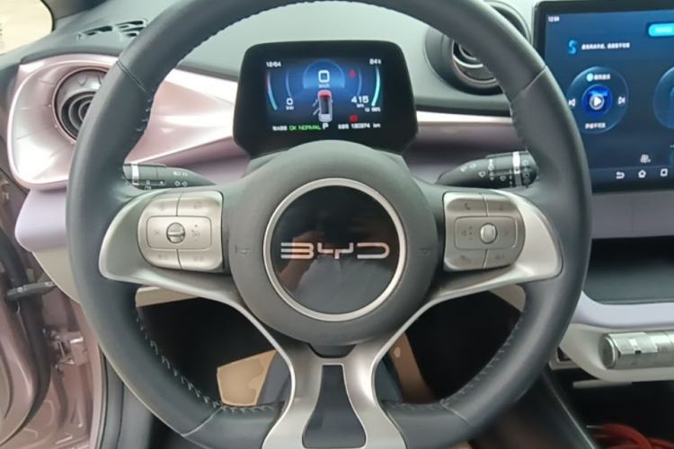 Used BYD Dolphin 2023 420 km Free Version Steering Wheel