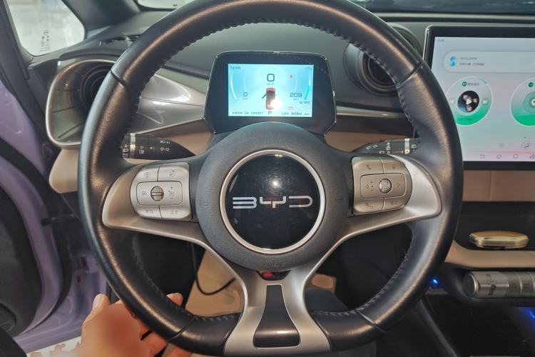 Used BYD Dolphin 2023 420 km Free Version Steering Wheel