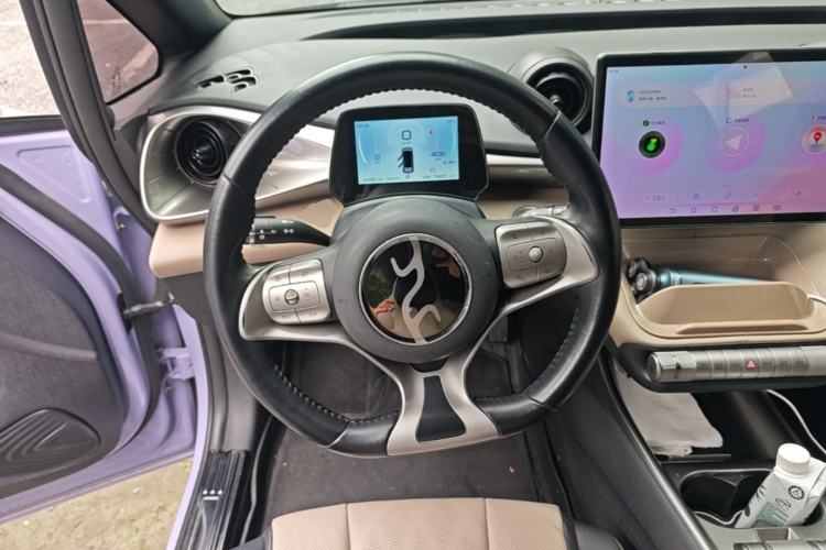 Used BYD Dolphin 2023 420 km Free Version Steering Wheel