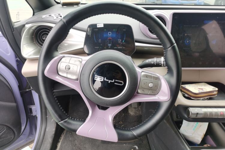 Used BYD Dolphin 2023 420 km Free Version Steering Wheel