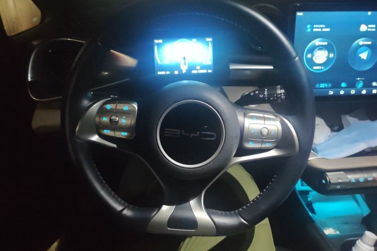 Used BYD Dolphin 2023 420 km Free Version Steering Wheel