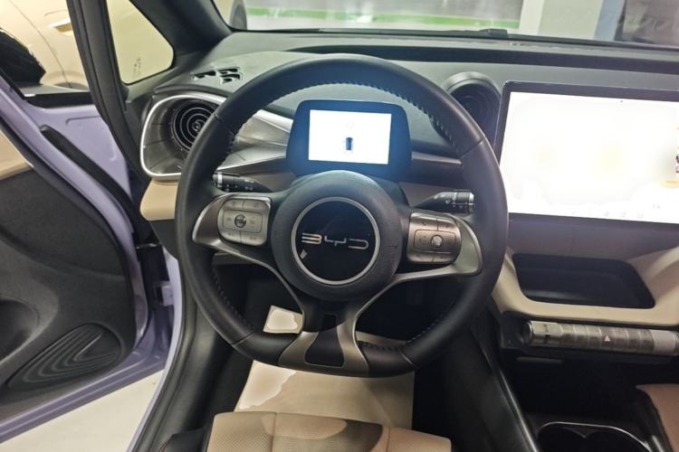 Used BYD Dolphin 2023 420 km Free Version Steering Wheel