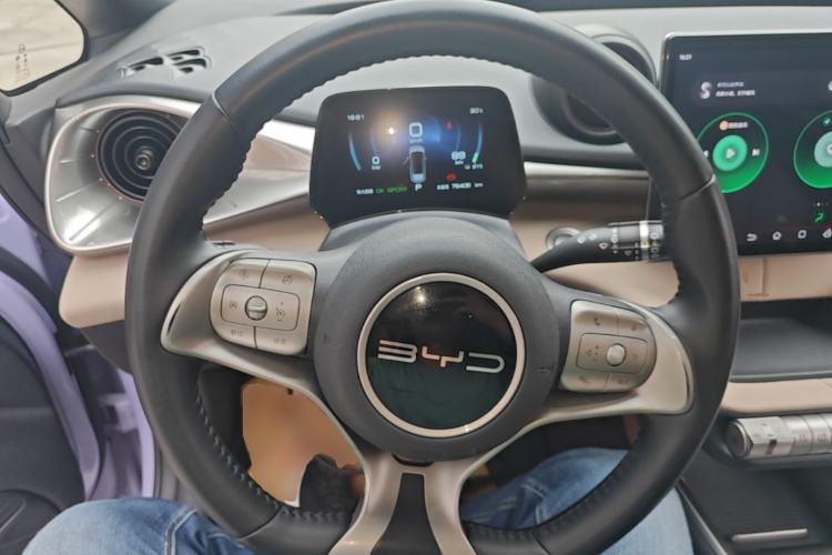 Used BYD Dolphin 2023 420 km Free Version Steering Wheel