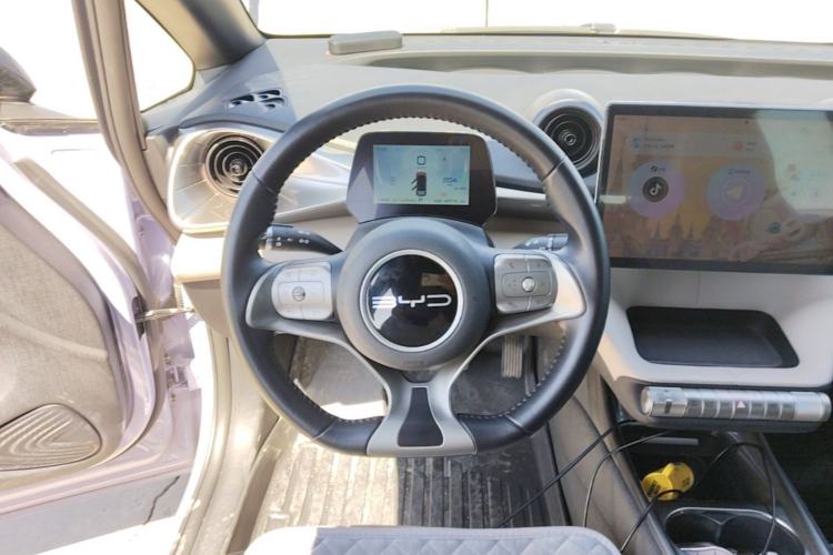 Used BYD Dolphin 2023 420 km Free Version Steering Wheel