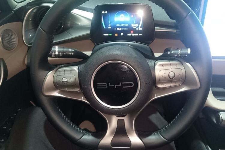 Used BYD Dolphin 2023 420 km Free Version Steering Wheel