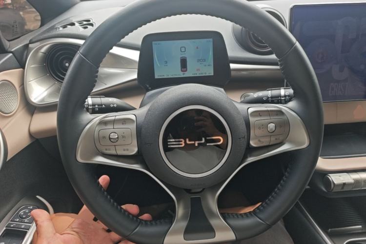 Used BYD Dolphin 2023 420 km Fashion Edition Steering Wheel