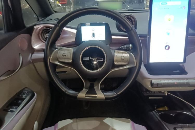 Used BYD Dolphin 2023 420 km Free Version Steering Wheel