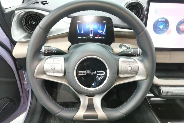 Used BYD Dolphin 2023 420 km Free Version Steering Wheel