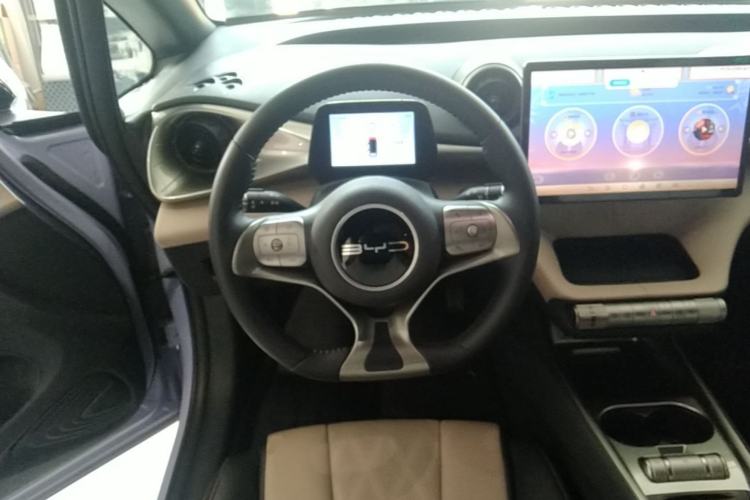 Used BYD Dolphin 2023 420 km Free Version Steering Wheel