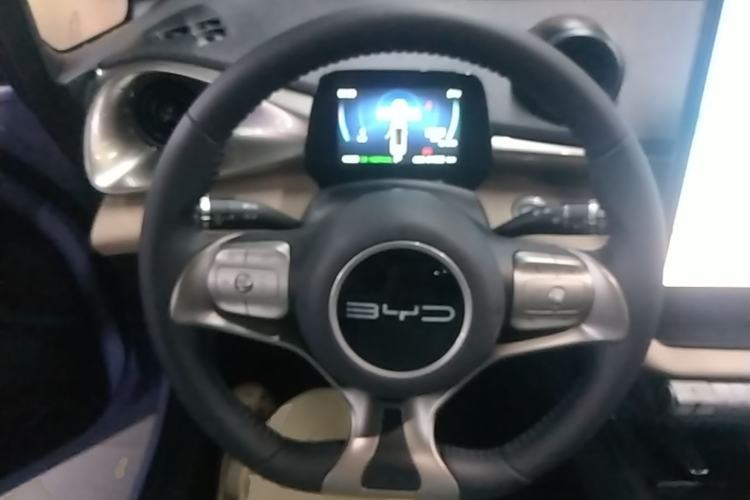 Used BYD Dolphin 2023 420 km Free Version Steering Wheel
