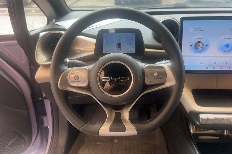Used BYD Dolphin 2023 420 km Free Version Steering Wheel