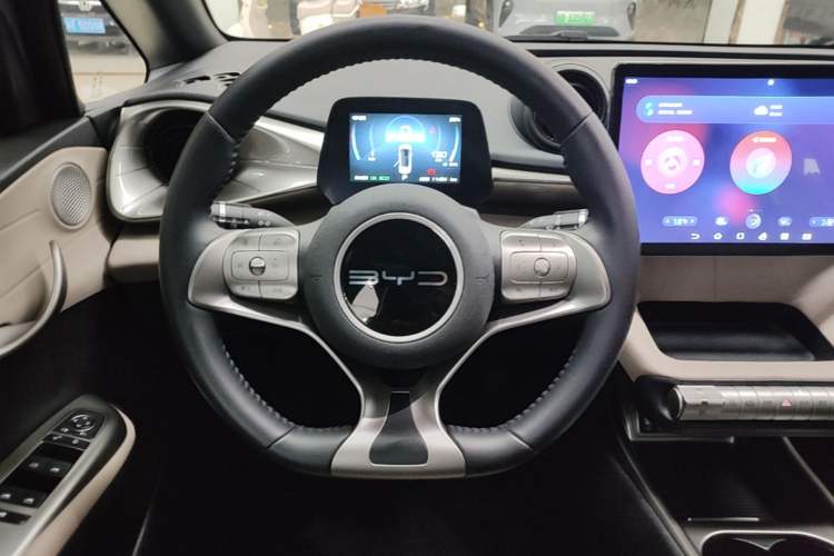 Used BYD Dolphin 2023 420 km Free Version Steering Wheel