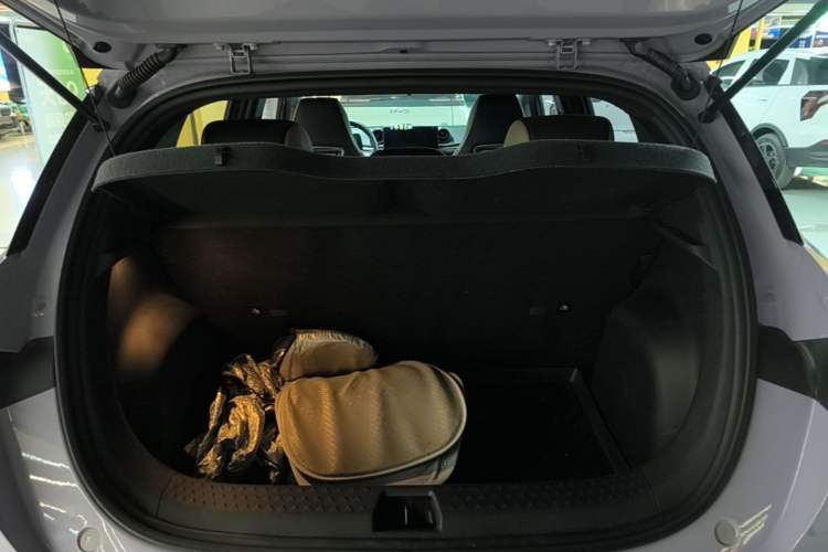Used BYD Dolphin 2023 420 km Free Version Trunk